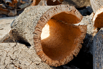 Biobased & Built for Pharma: Why Suberic Acid Deserves Your Attention